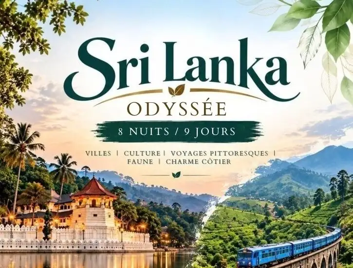 Odyssée au Sri Lanka : 8 nuits, 9 jours